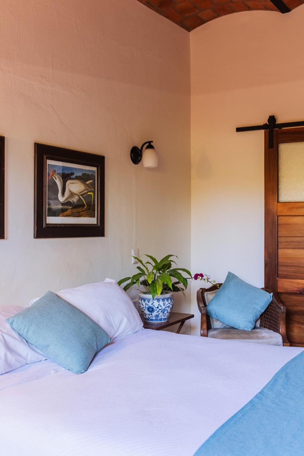 Hotel Casa Botanica Lo de Marcos Exteriér fotografie